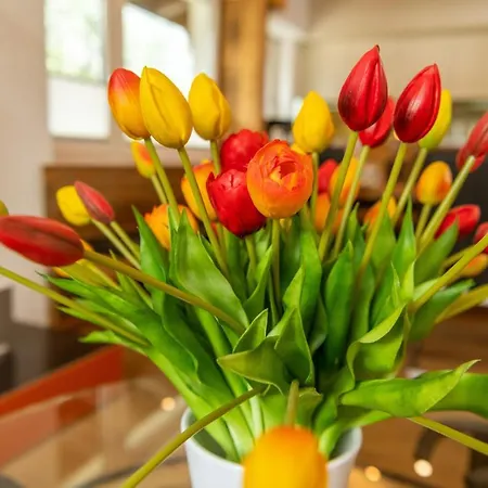 Apartment Haus Mia Zermatt