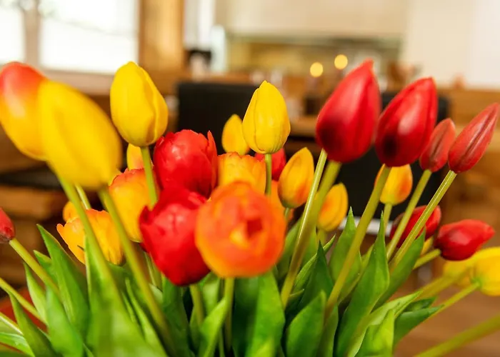 フェリエンヴォーヌング ハウス ミア * ツェルマット