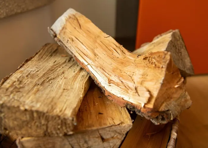 フェリエンヴォーヌング ハウス ミア * ツェルマット